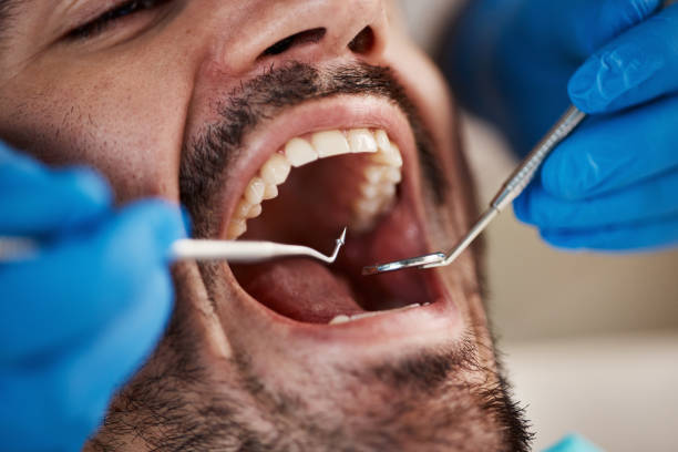 Best Emergency X-Rays and Diagnostics in New Baden, IL